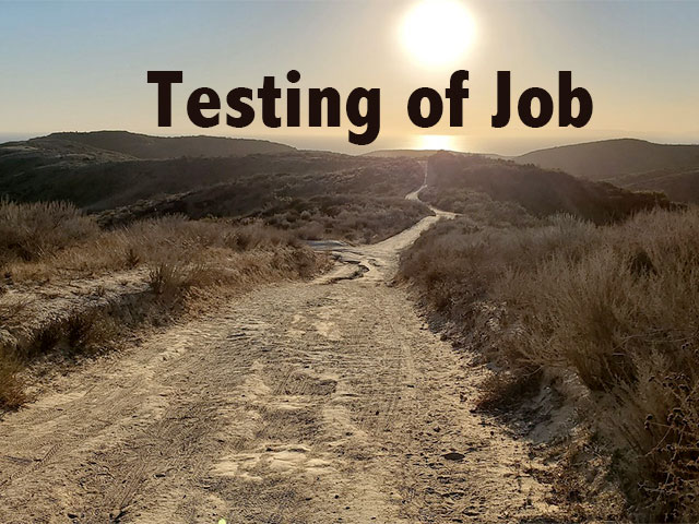 Testing of Job