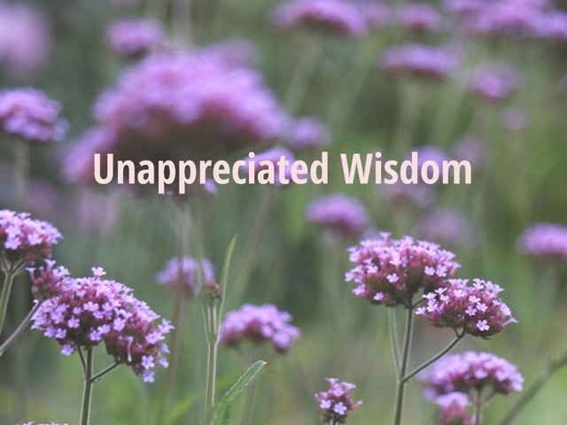 Unappreciated Wisdom